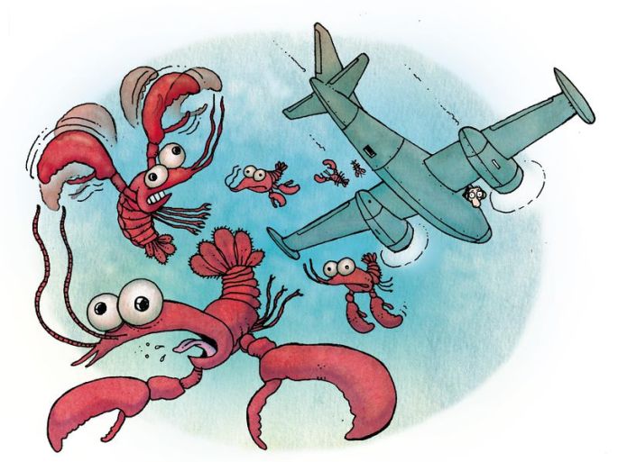 airplace air & space lobster airsick bomber