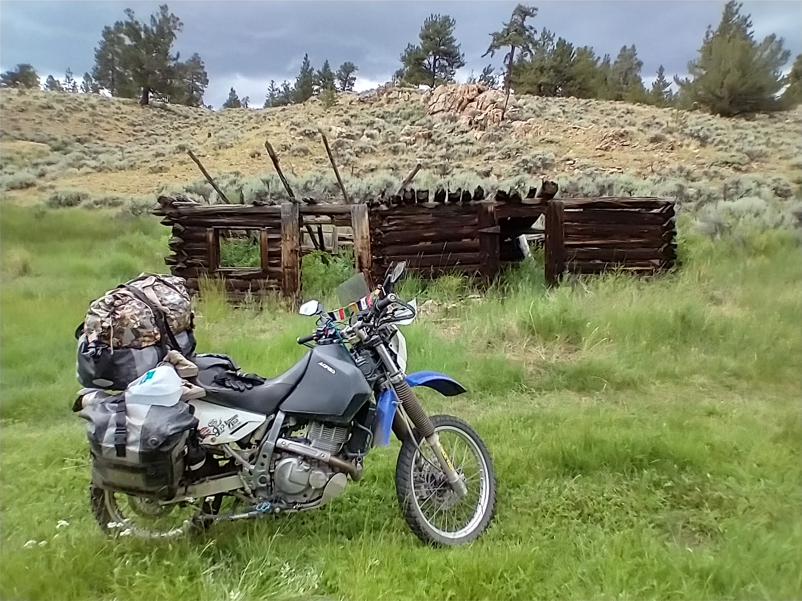 IMG_20230801_145730979_HDR