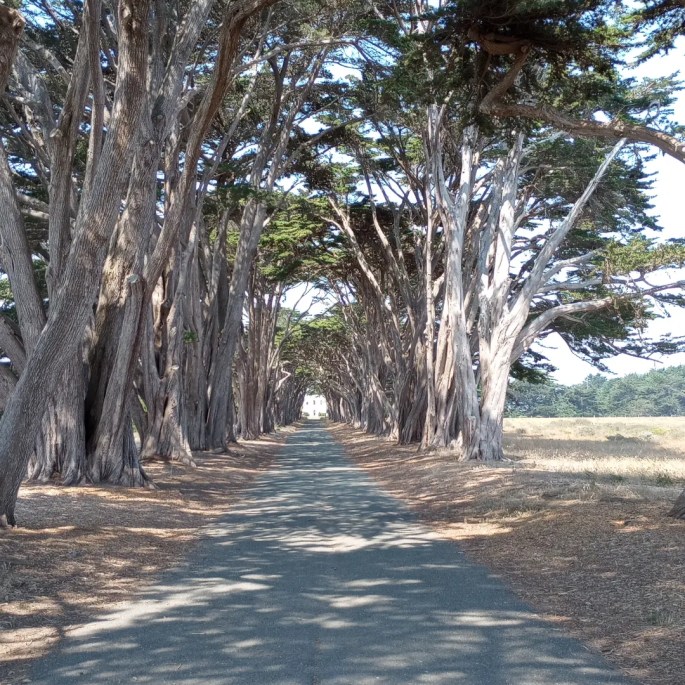 IMG_20230830_162343_675