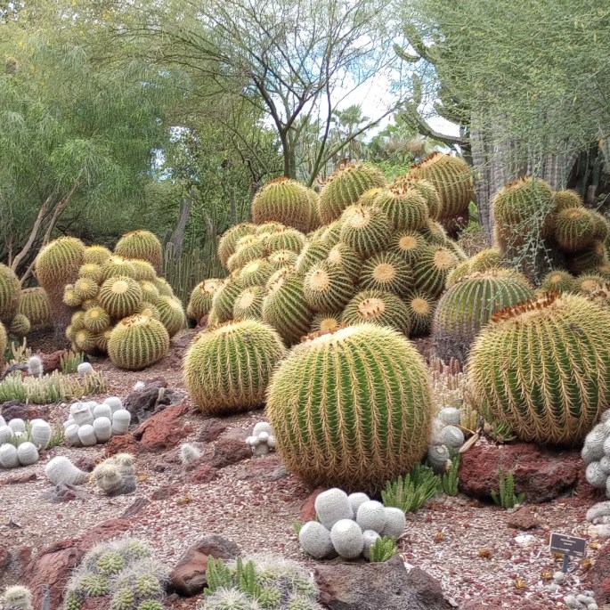 IMG_20230911_185522_471