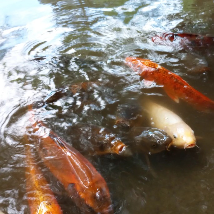 IMG_20230911_185522_614