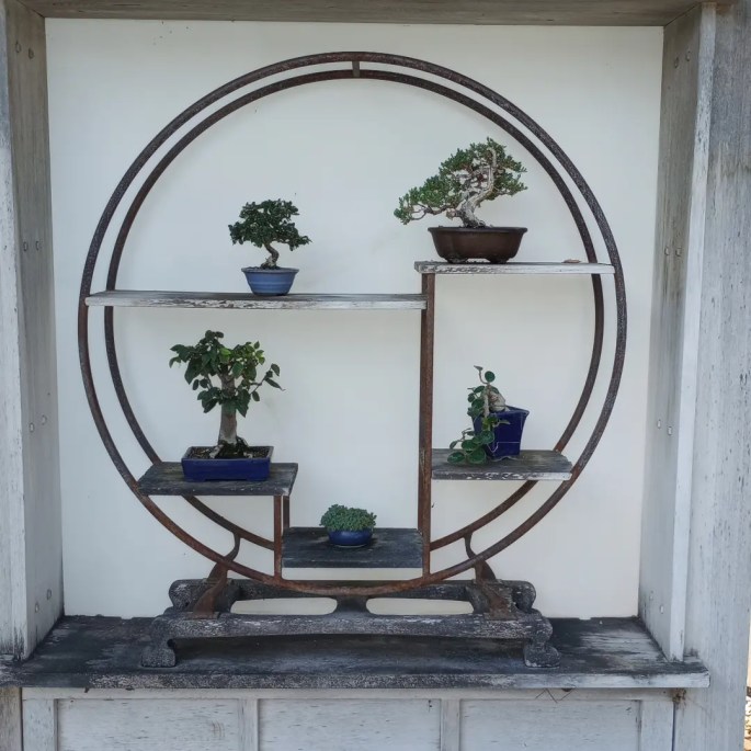 IMG_20230911_185522_735