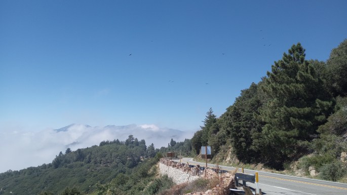 IMG_20230918_130642072