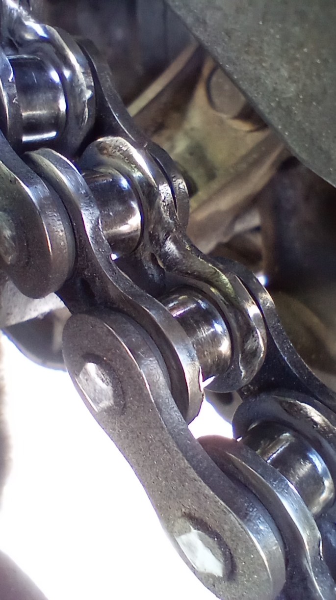 IMG_20231016_134412356