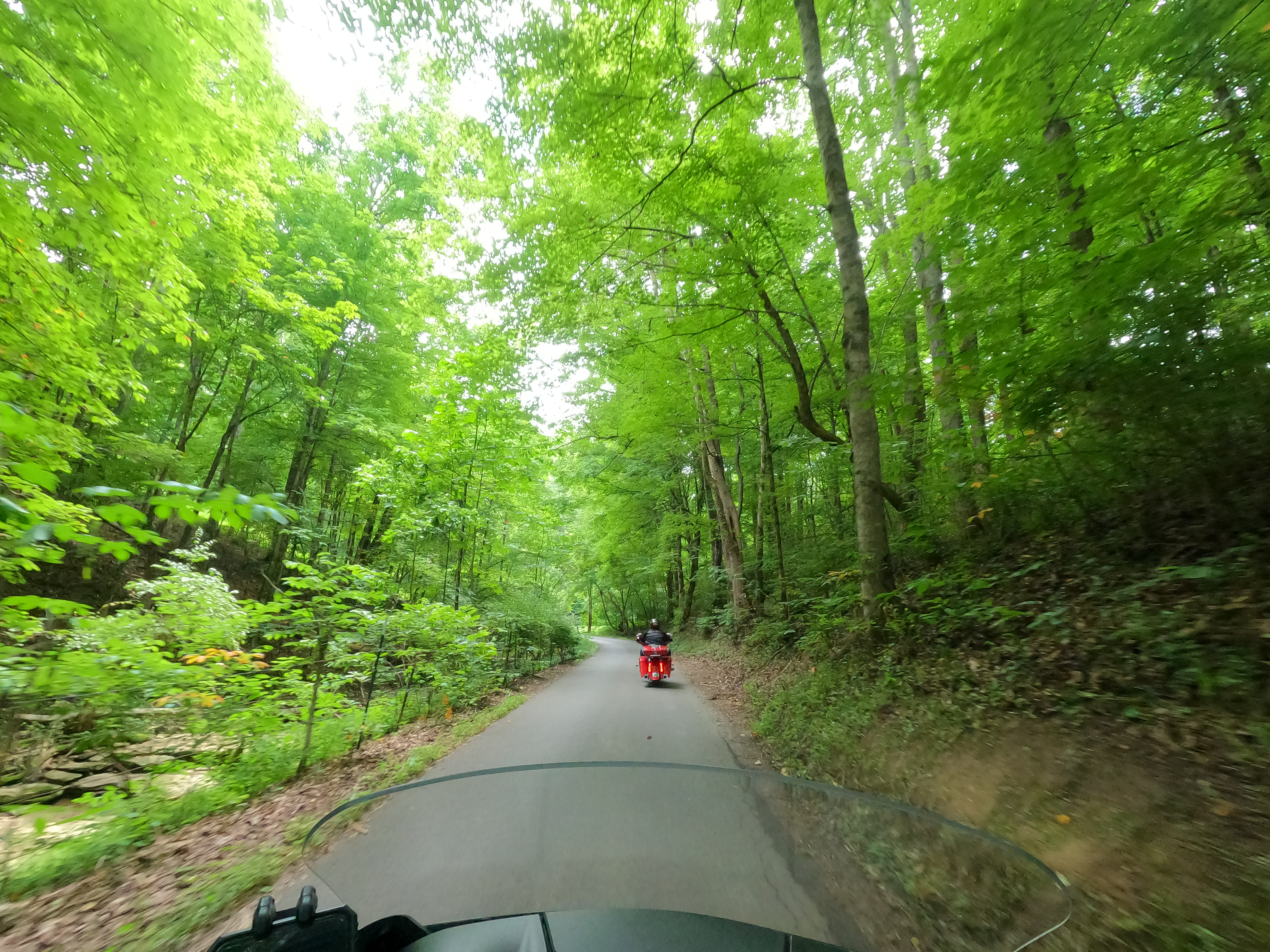 onboard fpv on motorcycle in forest, following another rider on a narrow lane