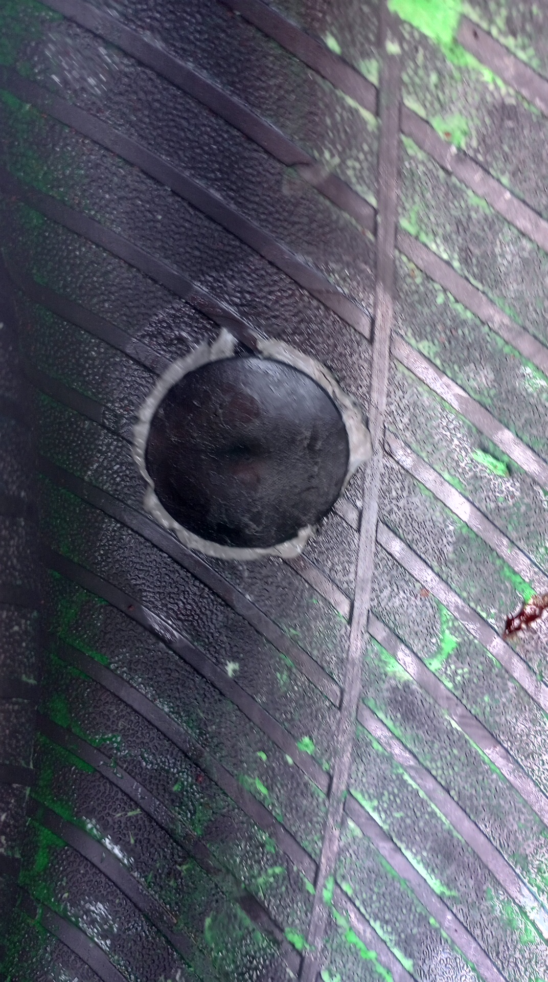 IMG_20240803_145132521_HDR