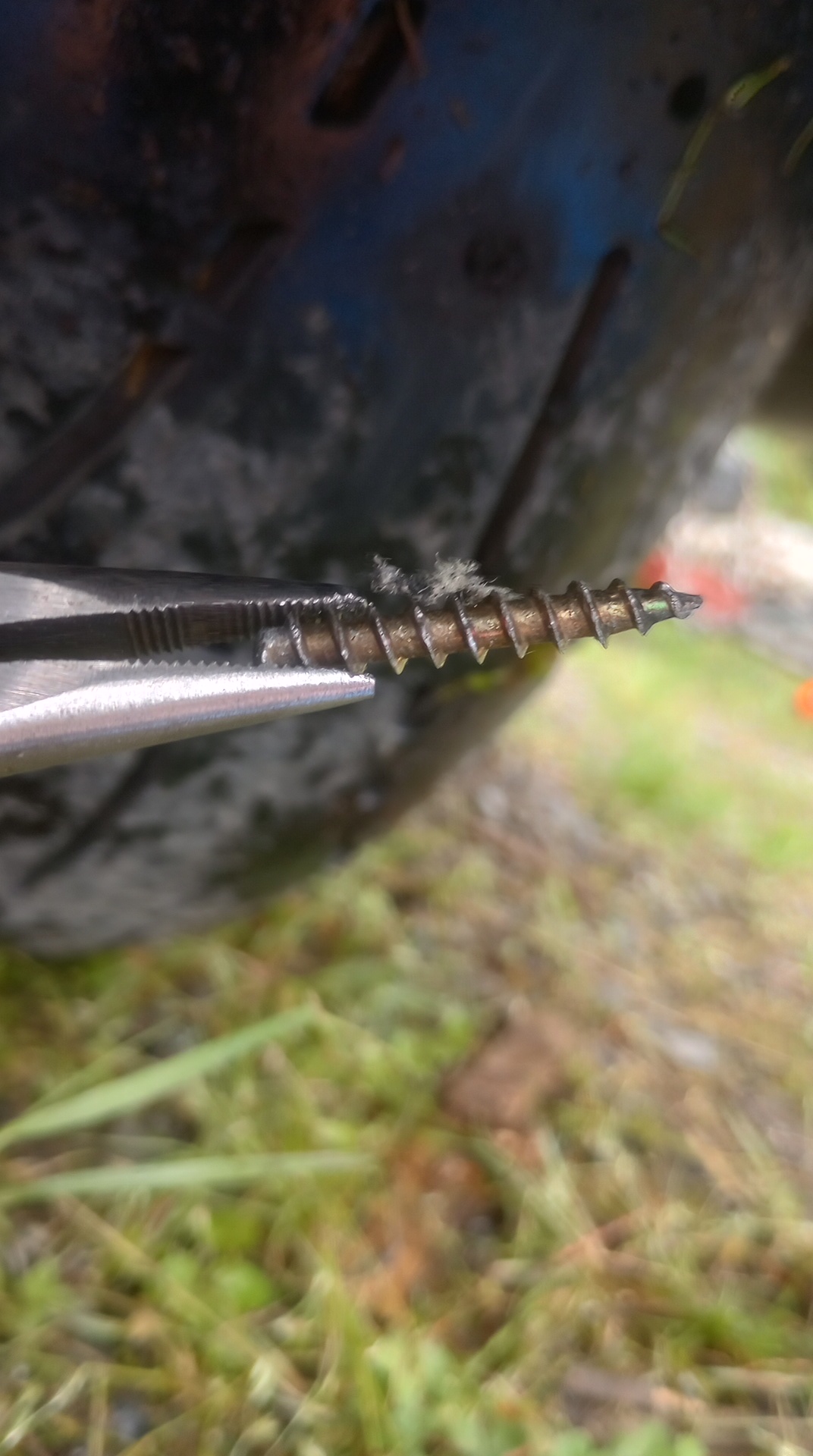 IMG_20240824_110619221_HDR