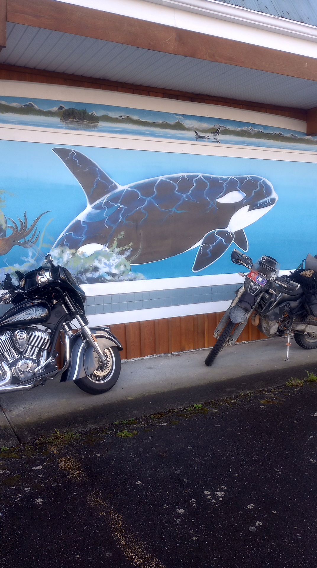 IMG_20240827_101826339_HDR