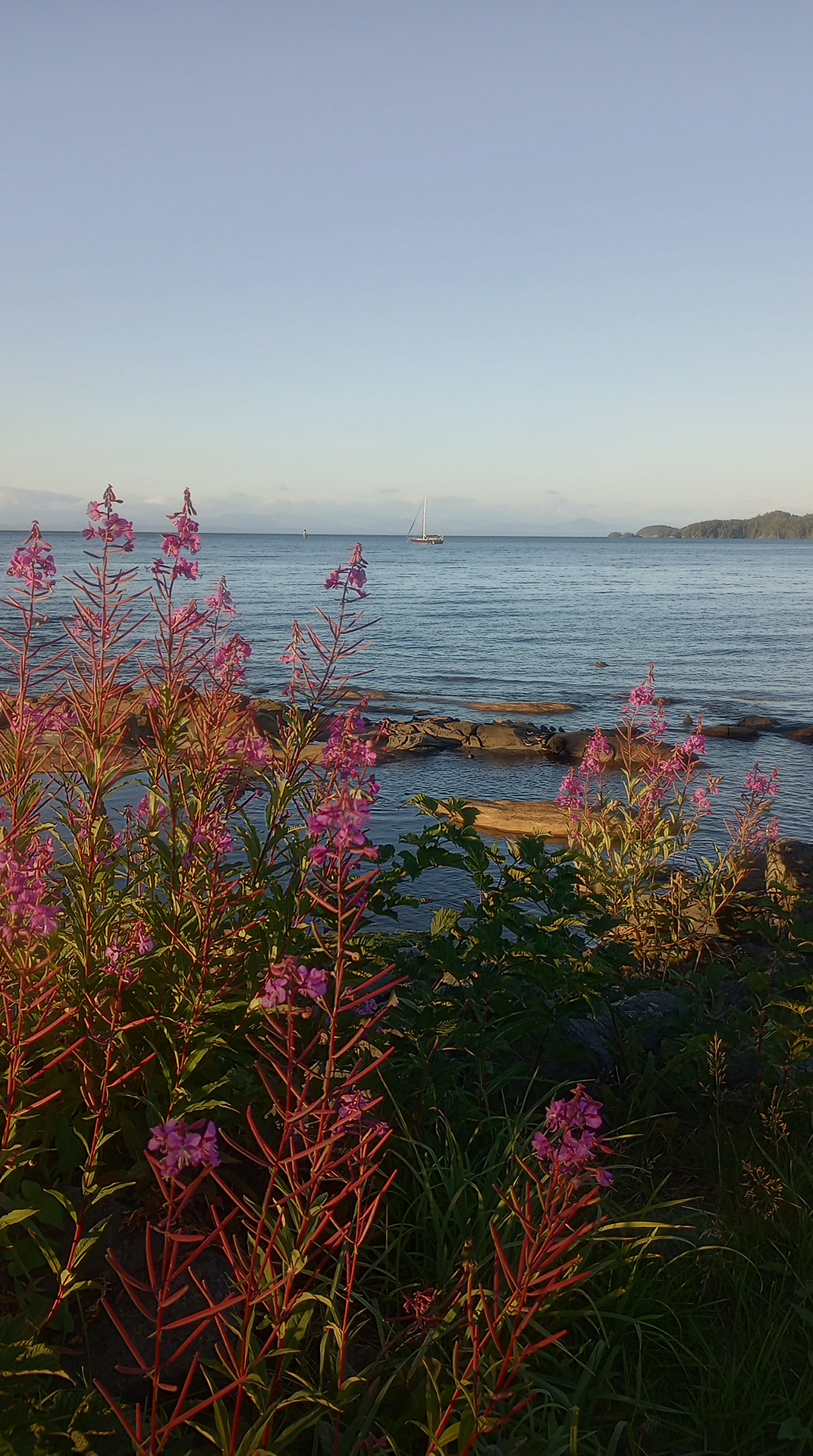 IMG_20240827_193212692_HDR