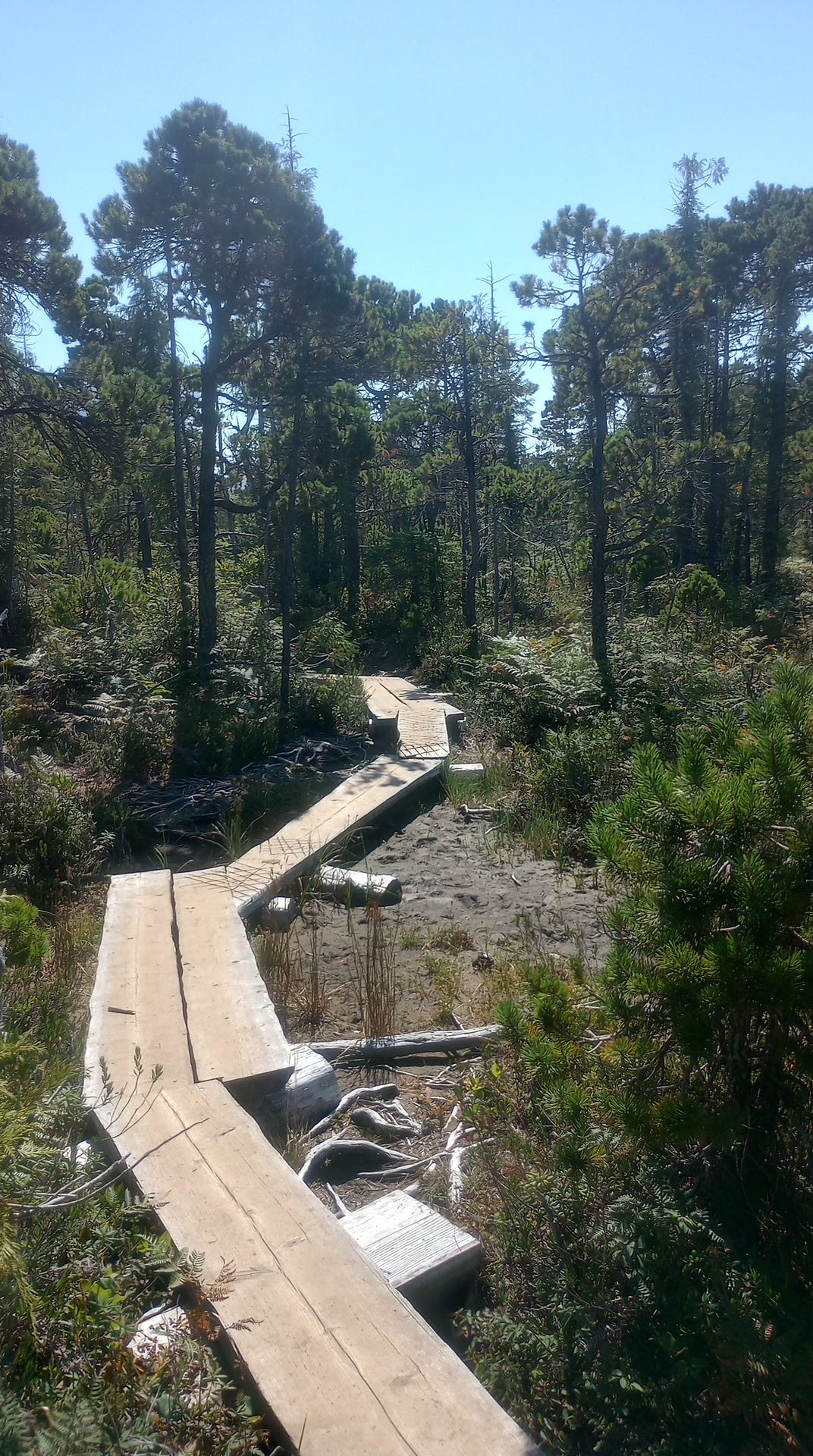 IMG_20240831_133103135_HDR