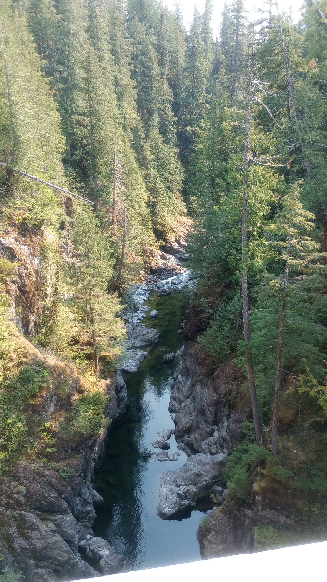 img_20240907_1418092252674854477784749059