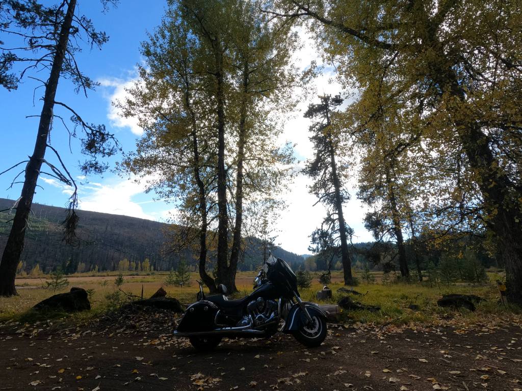 An Indian Chieftain motorcycle parked among trees with an open meadown behind. Fallen leaves litter the foreground, suggesting autumn weather