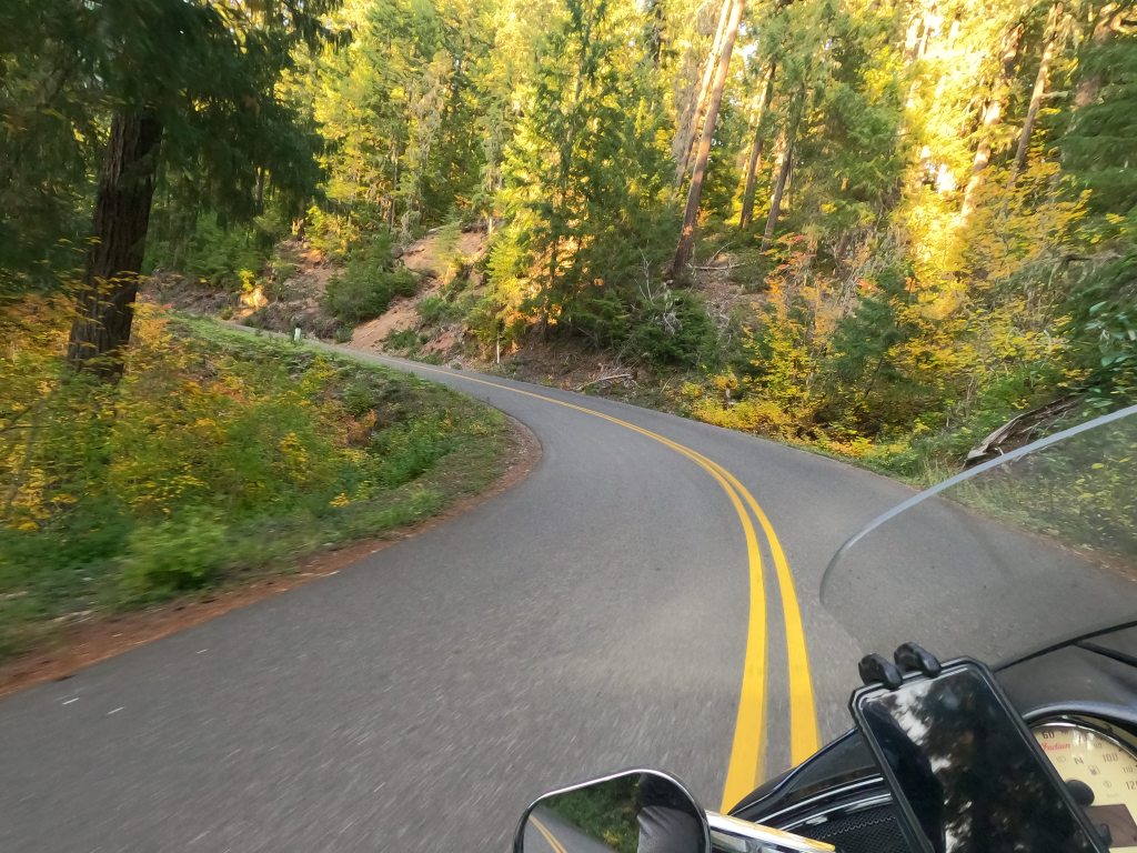 POV of a motorcycle rider on a 2 lane asphalt road, in a heavily wooded area. The rider bends into a left hand run amidst trees and underbrush
