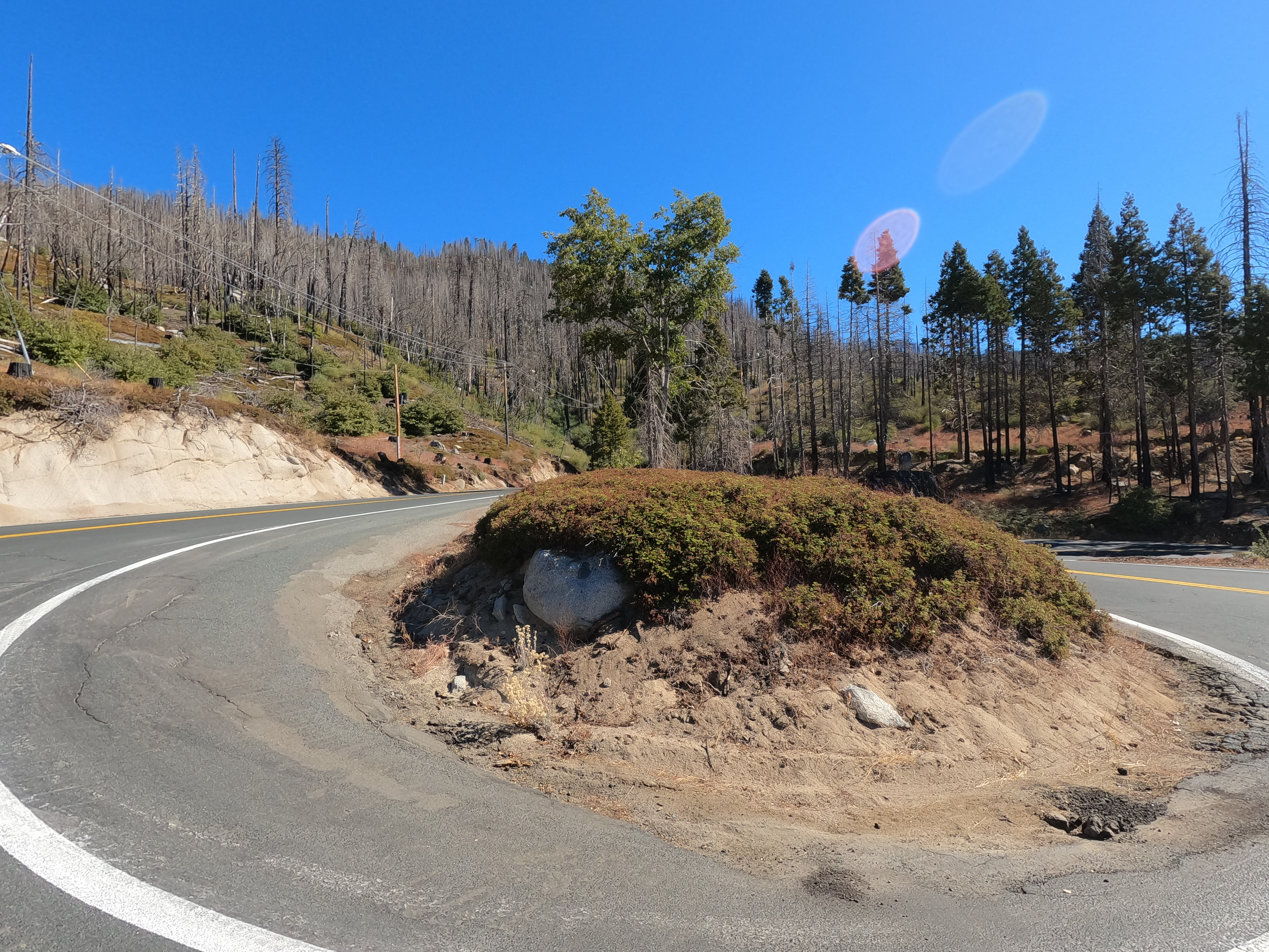 An extreme switchback corner on a forested mountain road