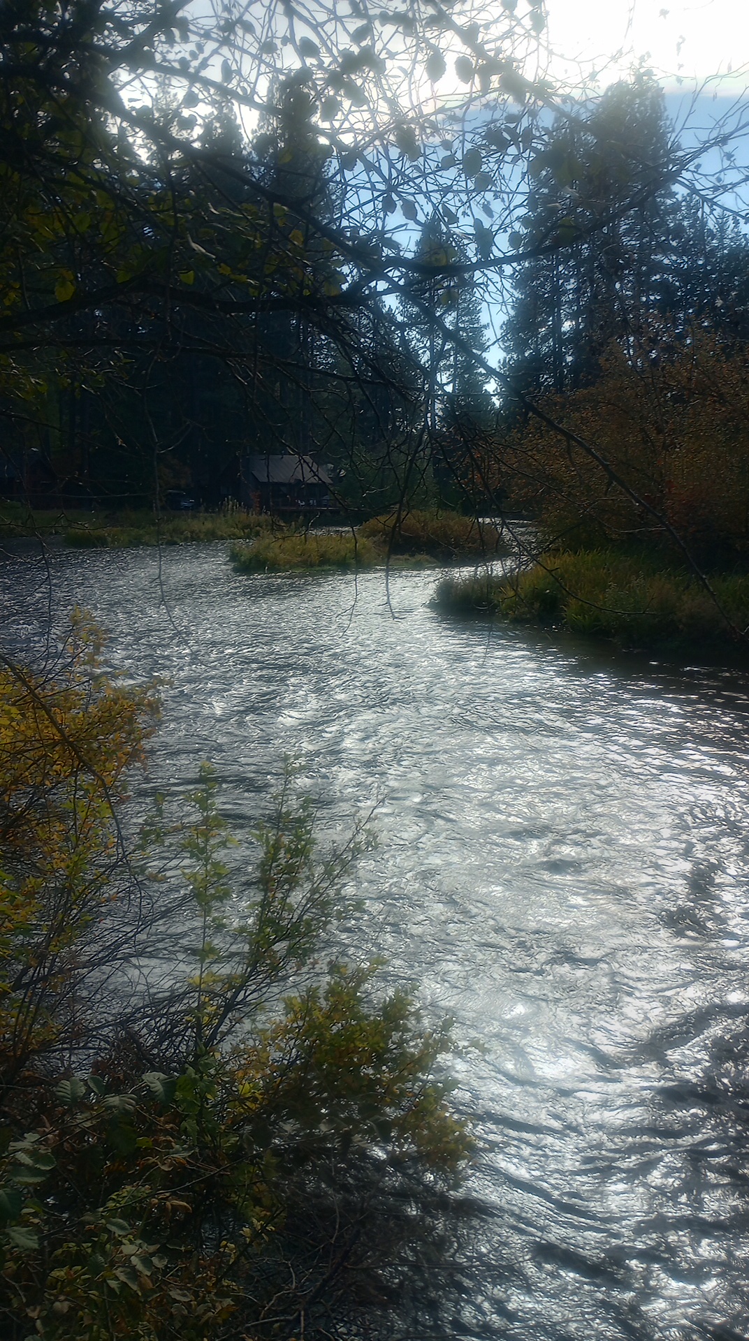 A view of the Metolious river just below its headwaters in Sherman Camp, Oregon