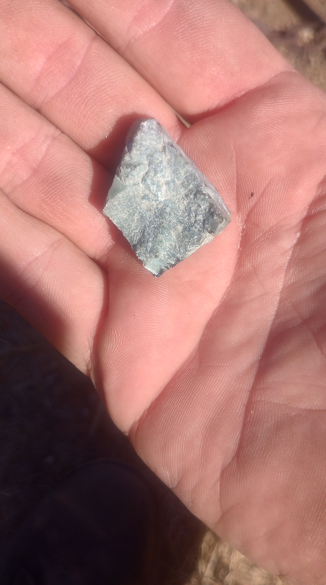 IMG_20241021_153035859_HDR