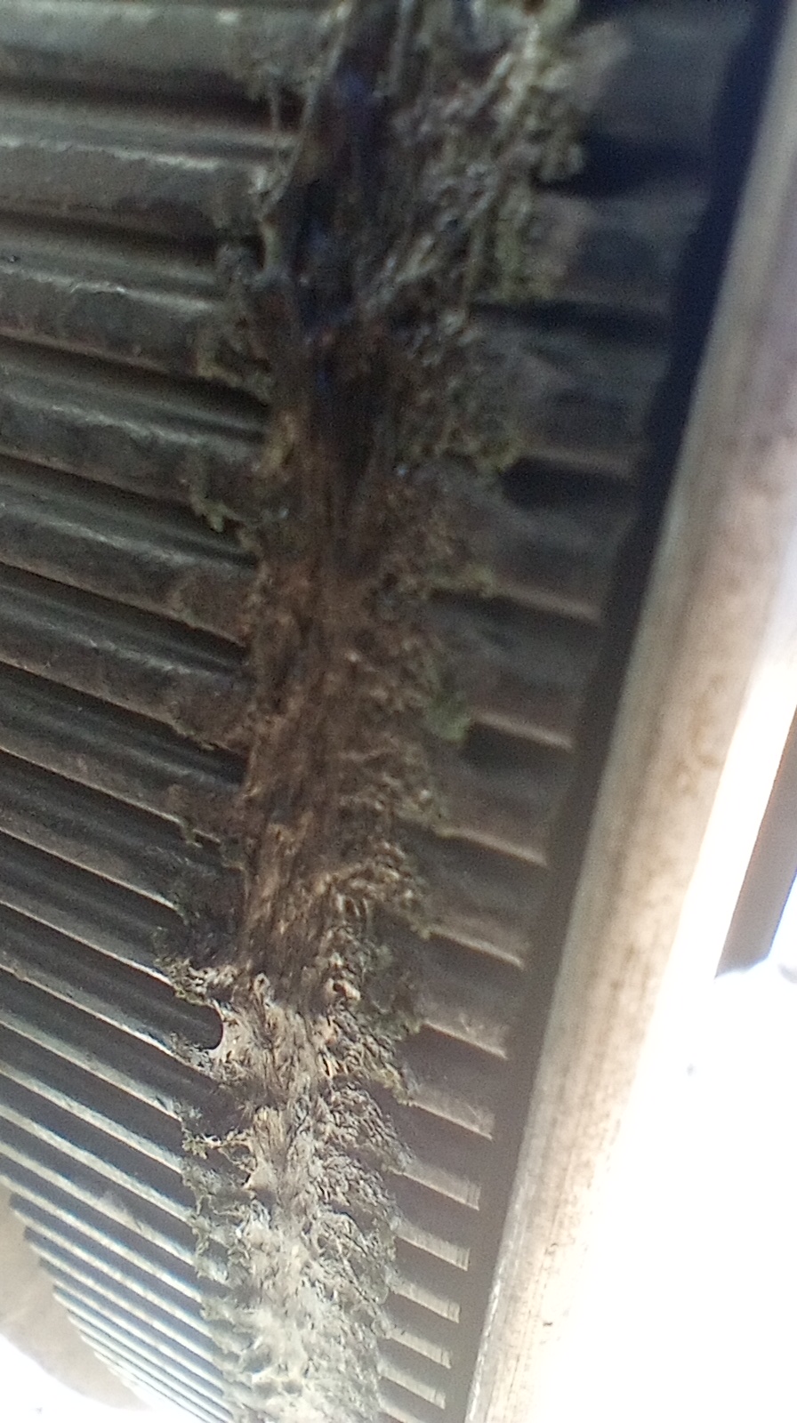 gouged and damaged motorcycle drive belt