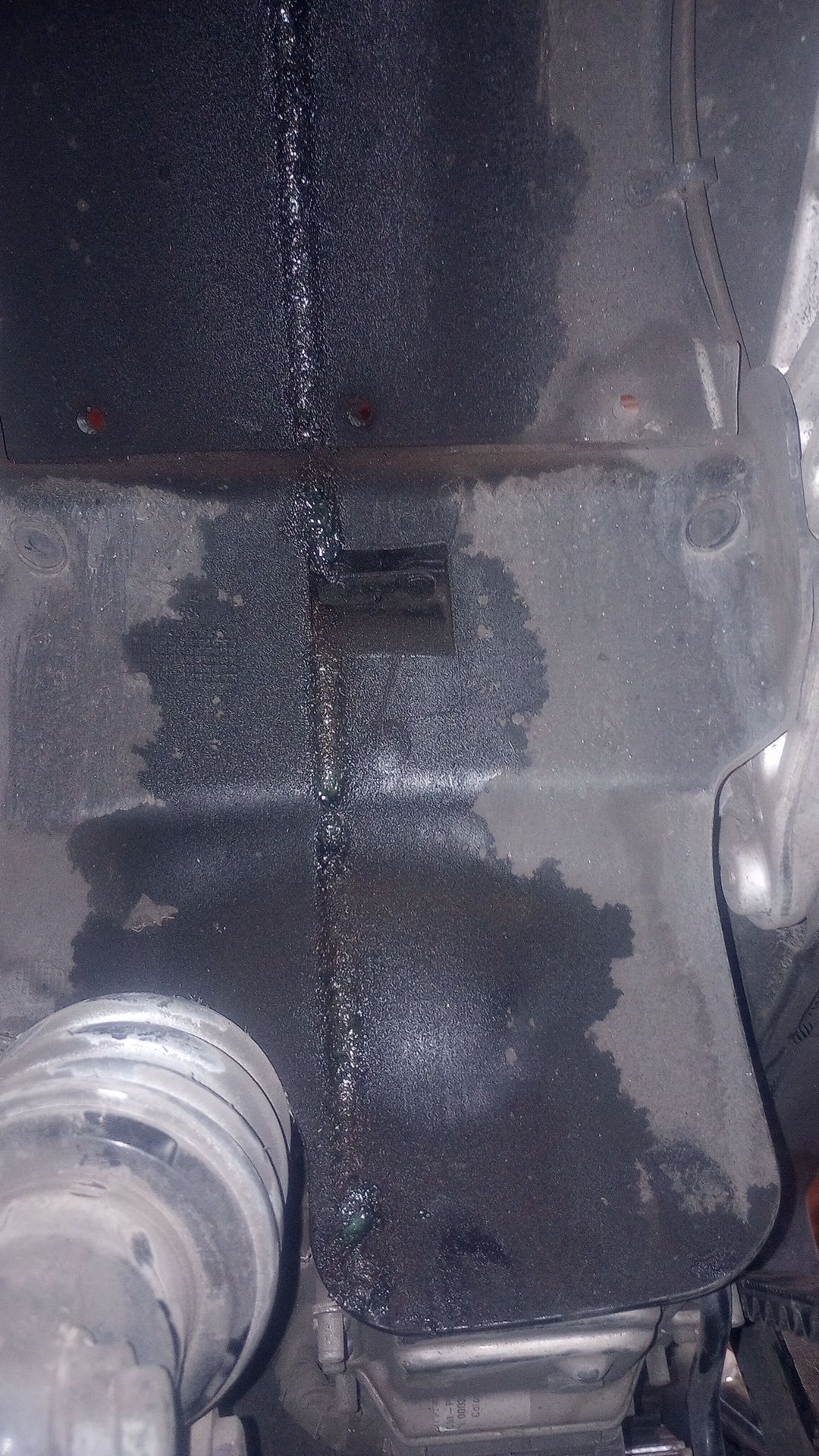 img_20241207_1506078348400788330963124673