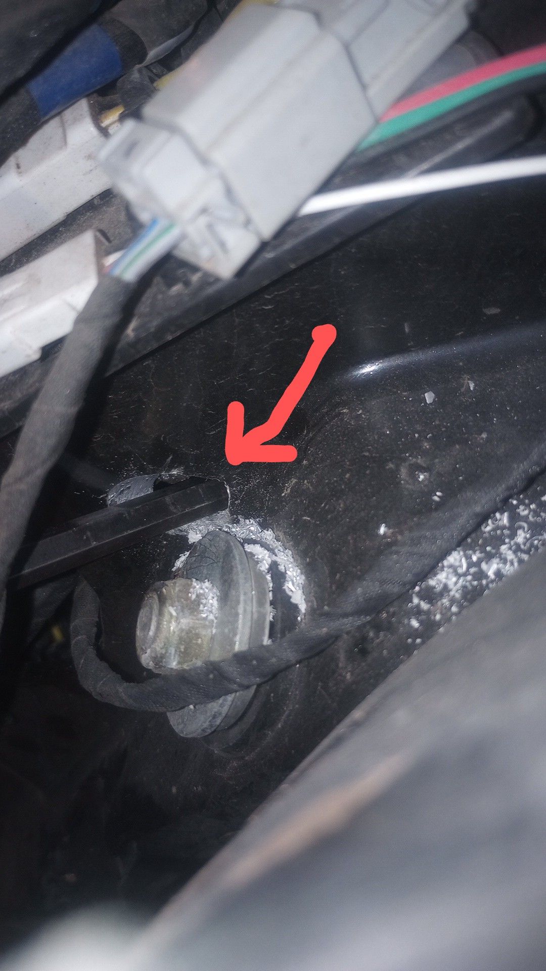 img_20241215_151415405~23119219101590962452.